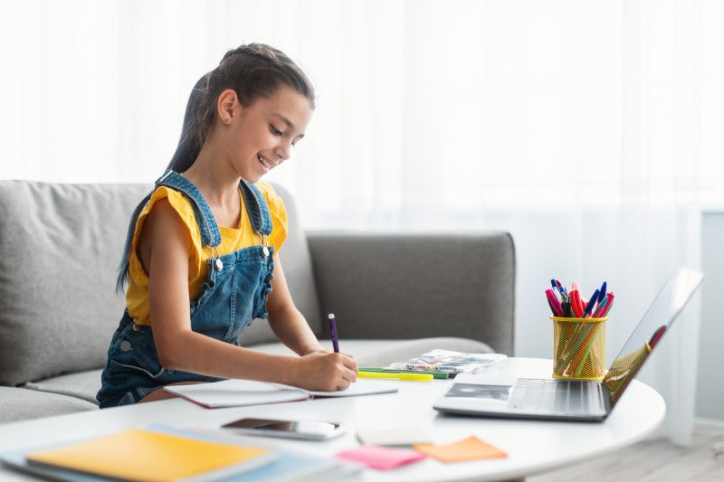 essay ideas for rakhi