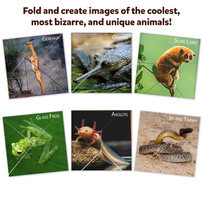 Set of six unique animal origami models with folding lines from Craftopedia Coolest Creatures book