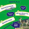 Family Brain Games Bundle (ages 6+)
