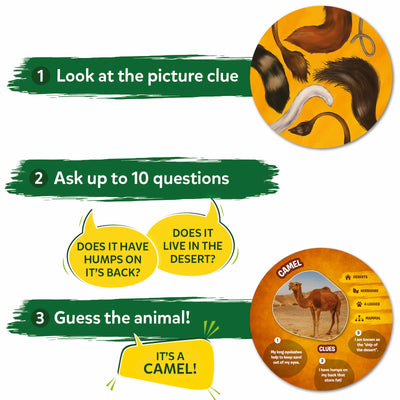 Guess in 10: Picture Clues Animal Planet | Trivia card game (ages 6+)