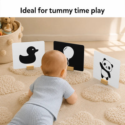 High Contrast Flash Cards for Infants (0-12 months)