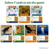 Visual showing the rule “Collect 7 cards to win the game!” with multiple animal cards displayed in rows. Cards include penguin, lion, seal, crocodile, fox, vulture, and jellyfish, each featuring a real animal photo, buzzwords, clues, facts, and a fun fact section. The layout explains progression-based gameplay using National Geographic imagery.