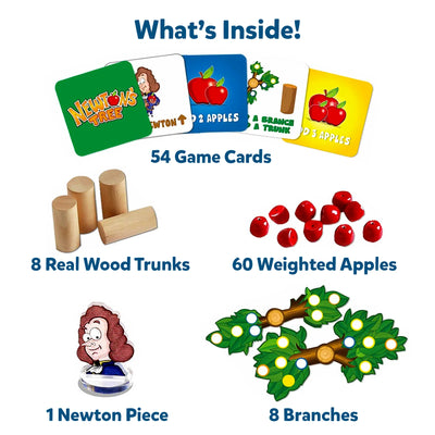 Components of Newtons Tree STEM toy board game for ages 6 and up