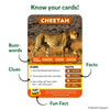 Educational layout explaining the structure of an animal game card using a cheetah example. The card shows a large animal photograph at the top, labeled buzzwords such as “Ferocious,” “Mammal,” and “Long Tail,” followed by numbered clue text, fact icons for habitat and diet, and a highlighted fun fact section at the bottom with arrows pointing to each element.
