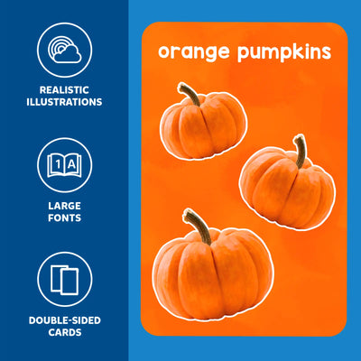 Flashcard set for toddlers with realistic illustrations, large fonts, and double-sided cards
