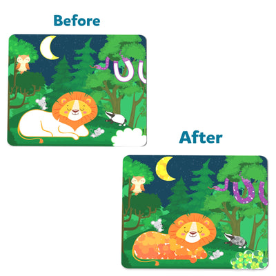 Animal Adventure Bundle  (ages 3-9)