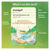 Vocabulary Made Fun Bundle (ages 8+)
