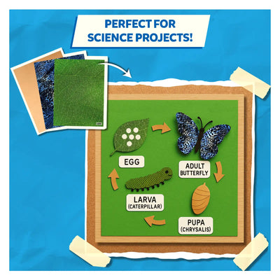 Clever Prints: Life Science | Construction Paper (60 Sheets)