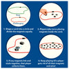 Instructions for a magnet game.